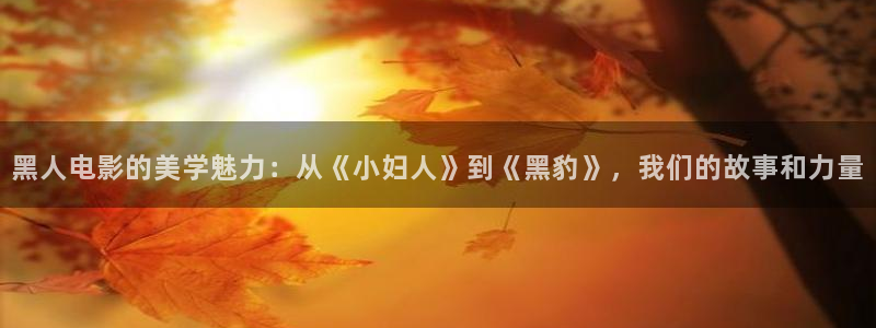 樱花影院在线观看：黑人电影的美学魅力：从《小妇人》到《黑豹》，我们的故事和力量