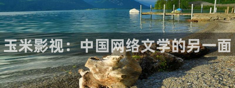 怎么下载樱花视频：玉米影视：中国网络文学的另一面