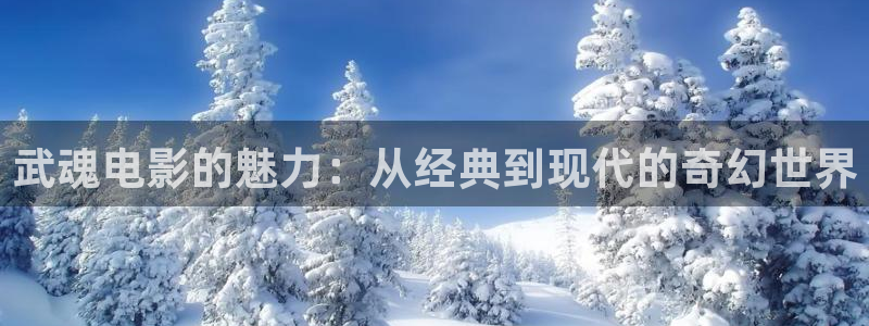 樱花视频ppt：武魂电影的魅力：从经典到现代的奇幻世界