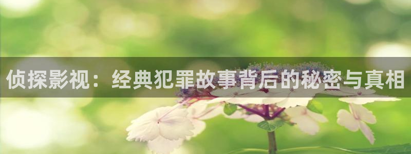 樱花视频下载入口