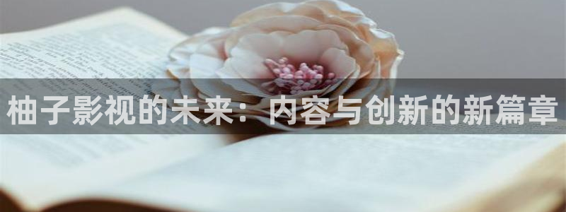 网站樱花视频：柚子影视的未来：内容与创新的新篇章