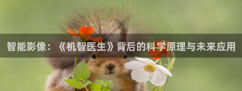 樱花视频mp4：智能影像：《机智医生》背后的科学原理与未来应用