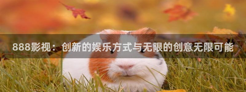 樱花视频高清免费看电视剧：888影视：创新的娱乐方式与无限的创意无限可能