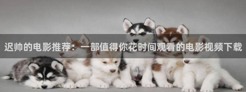 铠甲勇士刑天免费观看樱花视频：迟帅的电影推荐：一部值得你花时间观看的电影视频下载