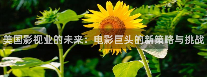 樱花视频yh