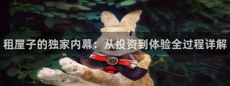 德凯奥特曼樱花视频：租屋子的独家内幕：从投资到体验全过程详解