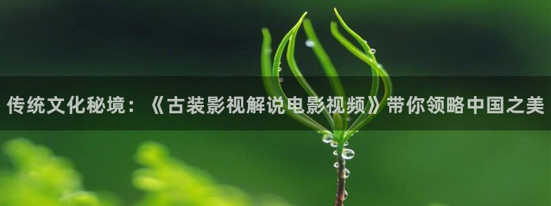 海贼王樱花视频：传统文化秘境：《古装影视解说电影视频》带你领略中国之美