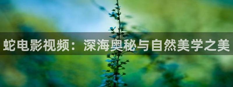 无锡鼋头渚樱花视频：蛇电影视频：深海奥秘与自然美学之美