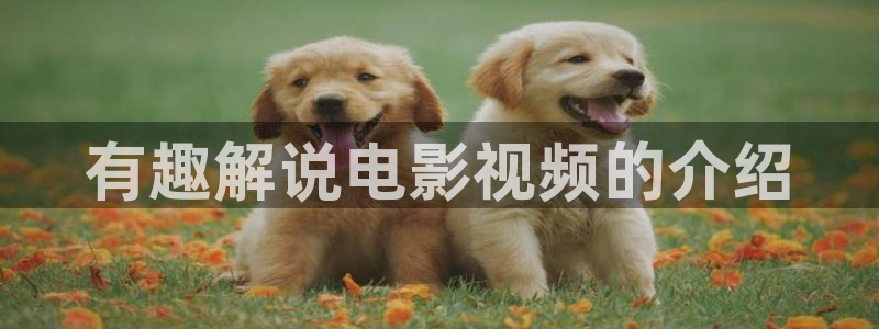 樱花视频官