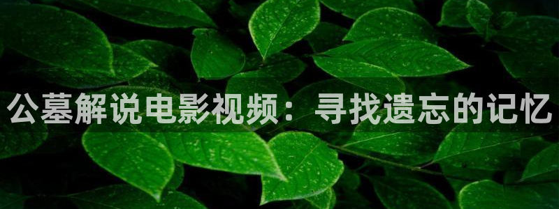 樱花影院一区