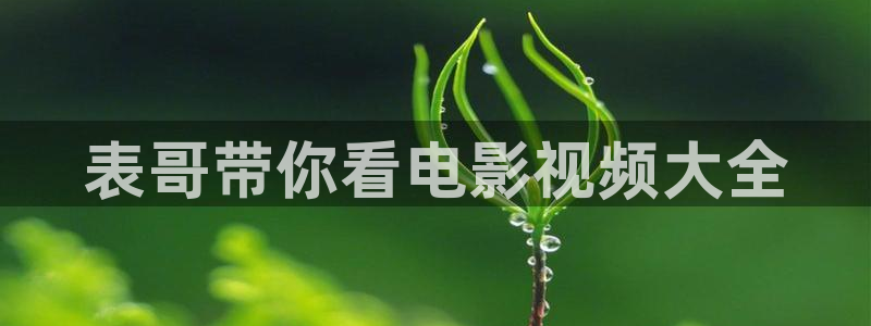 圣痕炼金士樱花视频