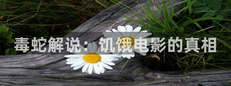 樱花视频mv