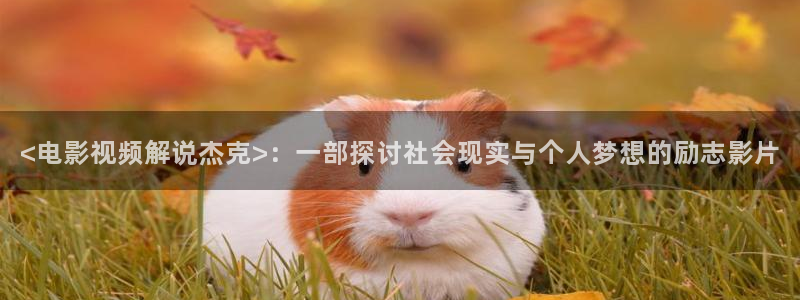 樱花视频韩国