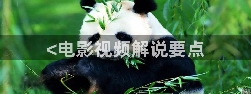 樱花视频大全免费