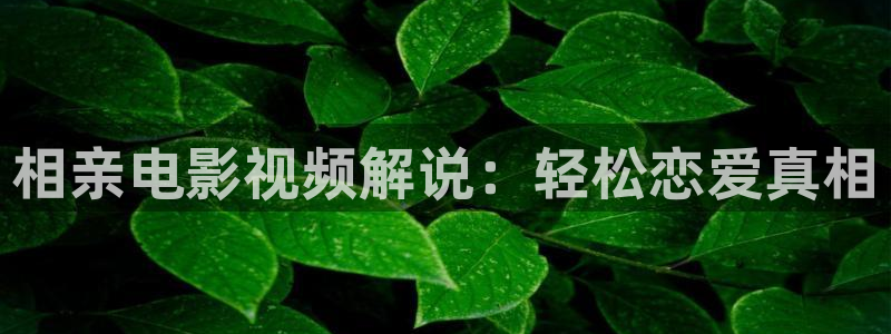 日在校园樱花视频