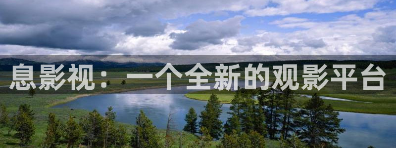樱花视频在线观看电视剧大全