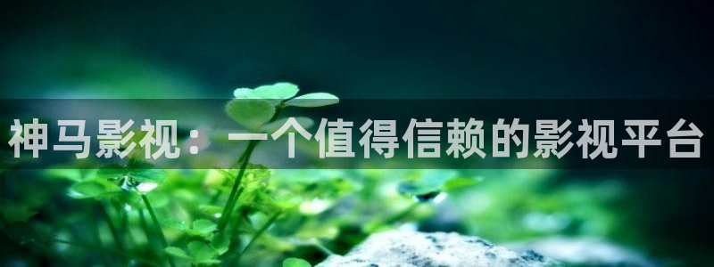 樱花影视电视剧电影