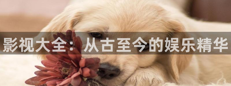 樱花影院免费观看电影