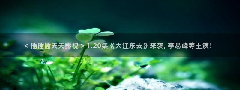 樱花樱花视频