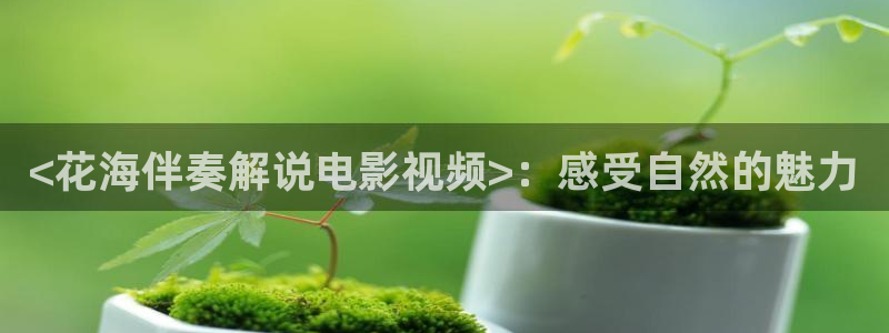 樱花影院电视剧在线播放视频