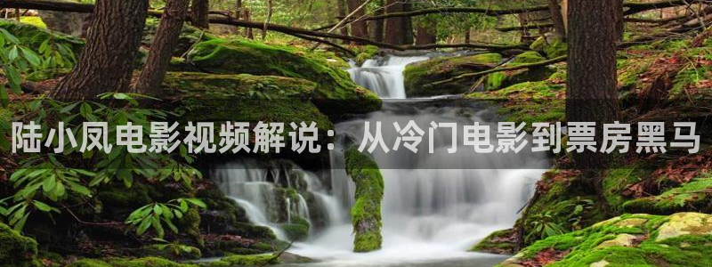 樱花视频最新