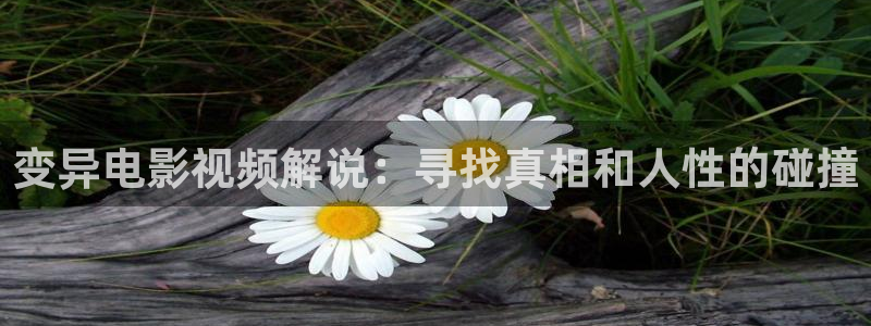 无职转生第二季樱花视频