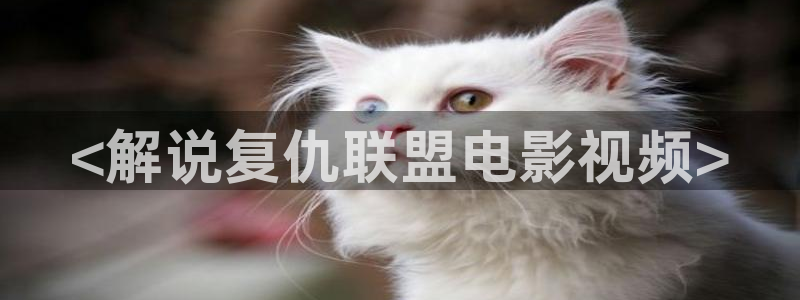 樱花视频免费观看下载