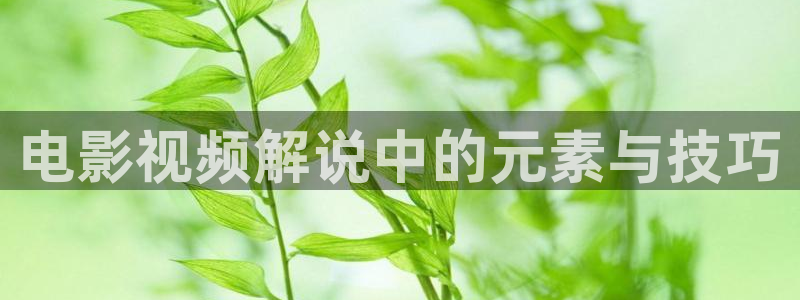 25岁的女子高中樱花视频