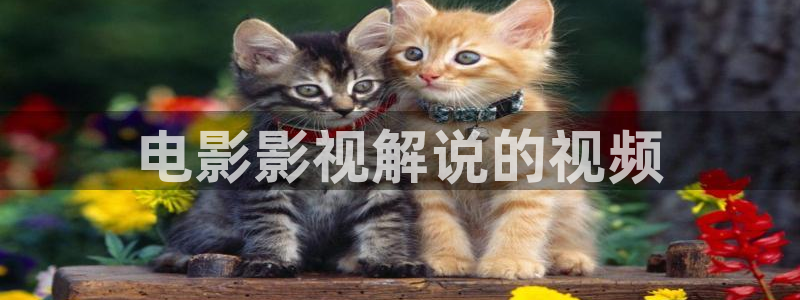高清樱花视频