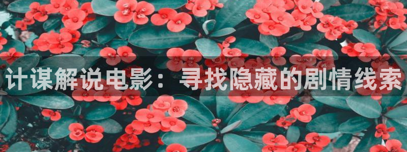 樱花视频在哪里
