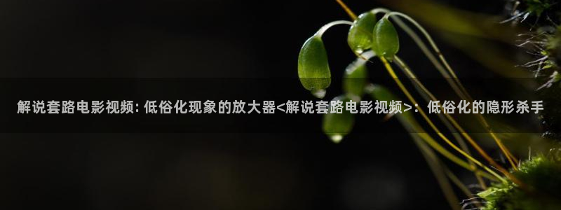 漂亮的樱花视频