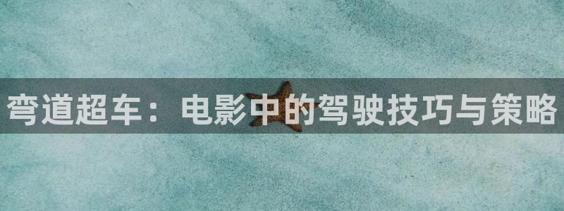 樱花视频mv