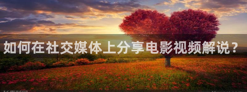 樱花视频在线观看视频