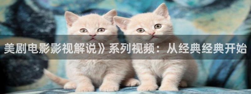 樱花视频怎么下载?