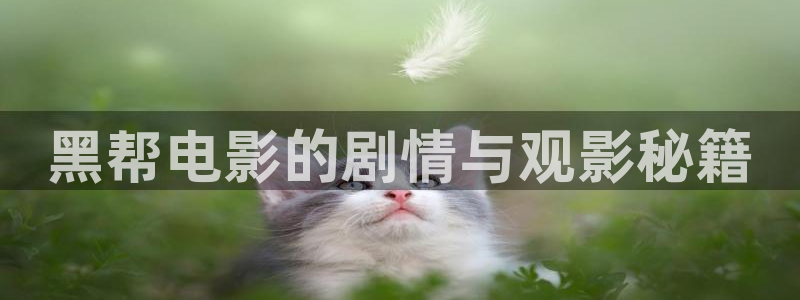 樱花视频免费看大全
