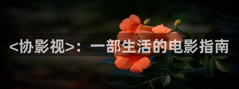 樱花视频高清完整视频：<协影视>：一部生活的电影指南