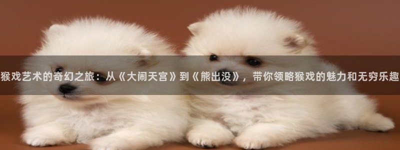 僧侣之夜樱花视频：猴戏艺术的奇幻之旅：从《大闹天宫》到《熊出没》，带你领略猴戏的魅力和无穷乐趣
