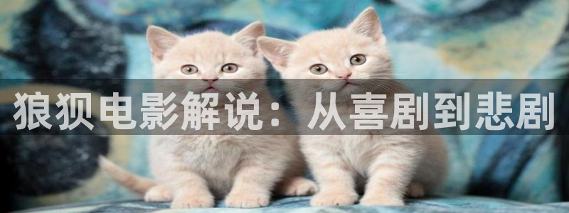 www..com樱花视频：狼狈电影解说：从喜剧到悲剧