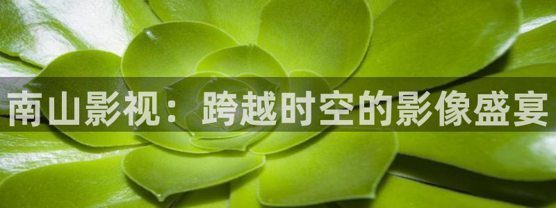 樱花影院版在线观看