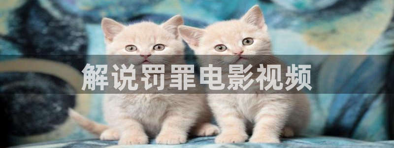 樱花视频2s