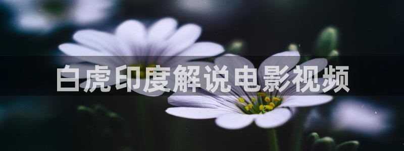 樱花视频三