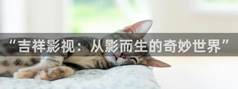 樱花视频在线免费看