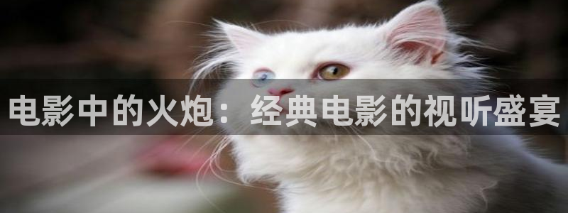 樱花影视大全免费观看