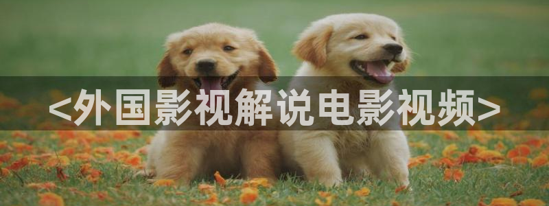 樱花视频视频