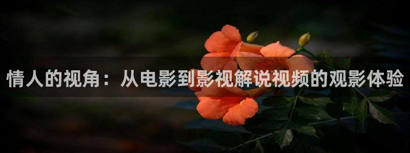 樱花影院最新电视剧