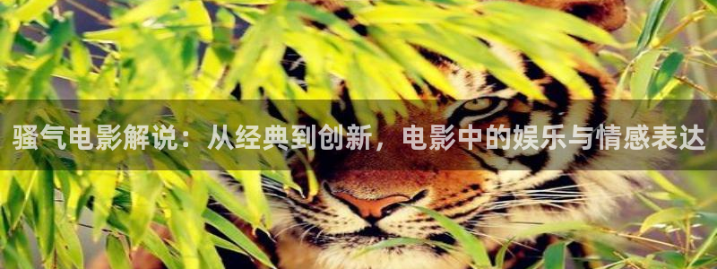 国产樱花视频：骚气电影解说：从经典到创新，电影中的娱乐与情感表达