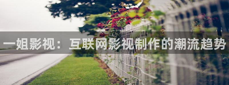 樱花影院高清电影好看的电影有哪些
